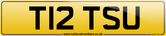 T12 TSU