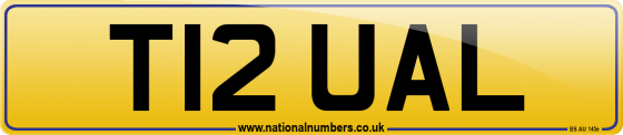 T12 UAL
