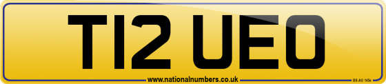 T12 UEO