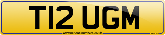 T12 UGM