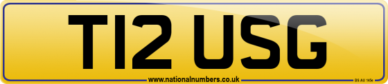 T12 USG