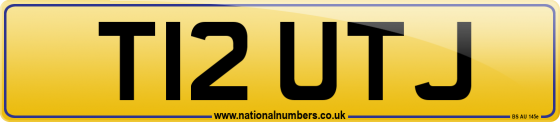T12 UTJ