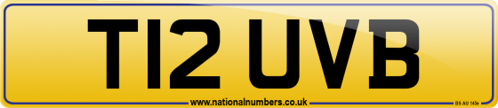 T12 UVB