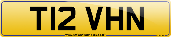 T12 VHN