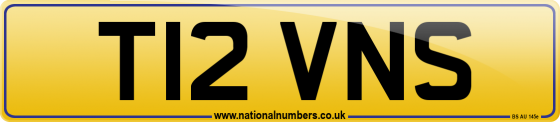 T12 VNS