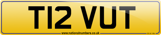 T12 VUT
