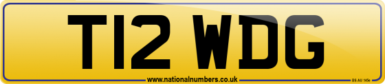 T12 WDG
