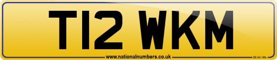 T12 WKM
