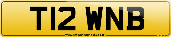 T12 WNB
