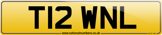 T12 WNL