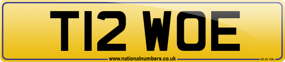 T12 WOE