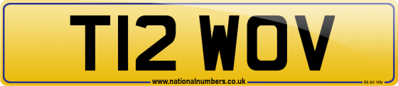 T12 WOV