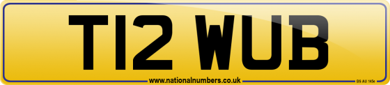 T12 WUB