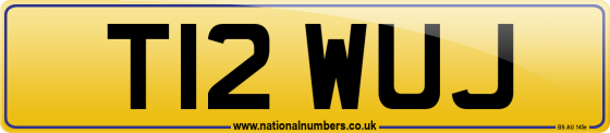T12 WUJ
