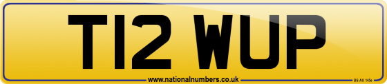 T12 WUP