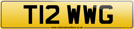 T12 WWG