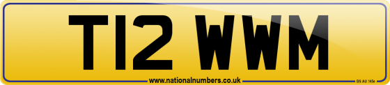T12 WWM