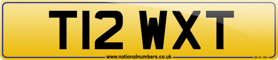 T12 WXT