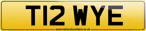 T12 WYE