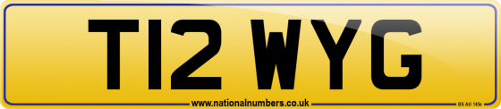 T12 WYG