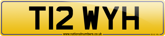 T12 WYH