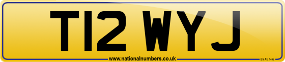 T12 WYJ
