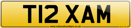 T12 XAM