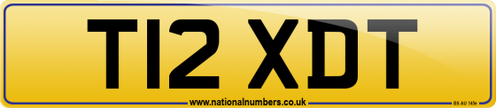 T12 XDT