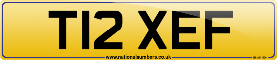 T12 XEF