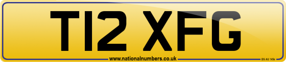 T12 XFG