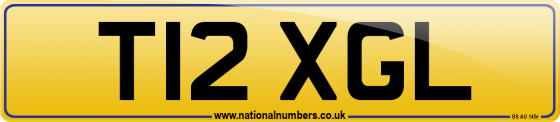 T12 XGL