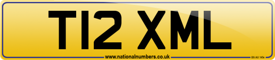 T12 XML