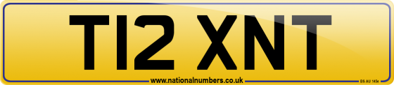 T12 XNT