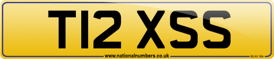T12 XSS