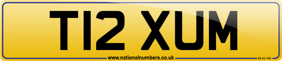 T12 XUM