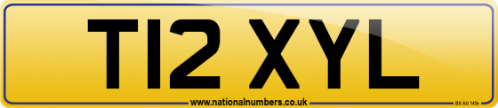 T12 XYL