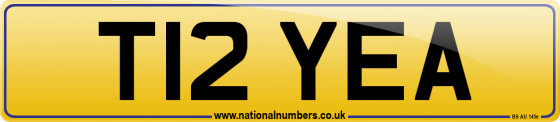 T12 YEA