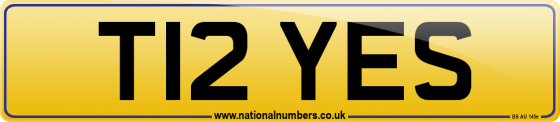 T12 YES