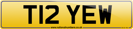 T12 YEW