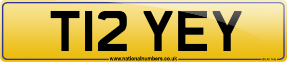 T12 YEY