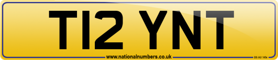 T12 YNT