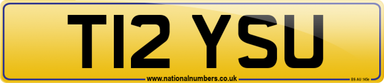 T12 YSU