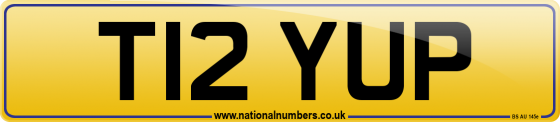 T12 YUP