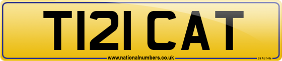 T121 CAT