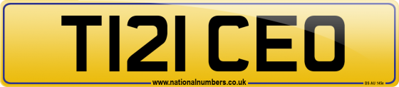 T121 CEO