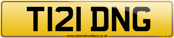 T121 DNG