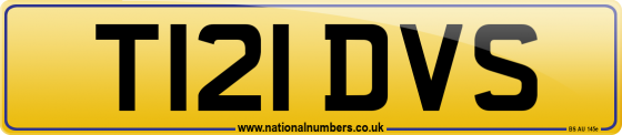 T121 DVS