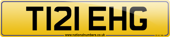 T121 EHG