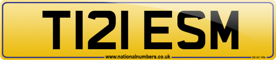T121 ESM