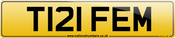 T121 FEM